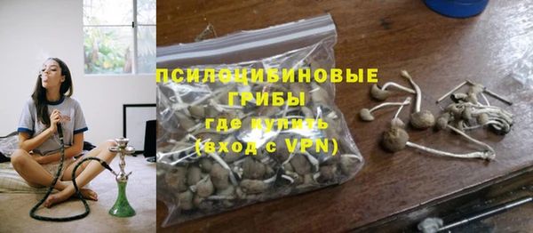прущие крисы Белокуриха