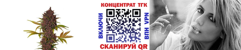 ТГК Wax  Славгород 