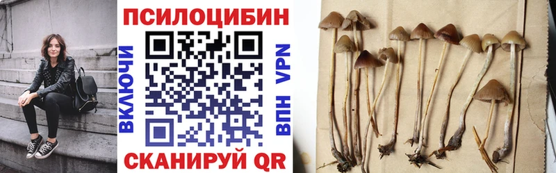 Псилоцибиновые грибы Magic Shrooms  Славгород 